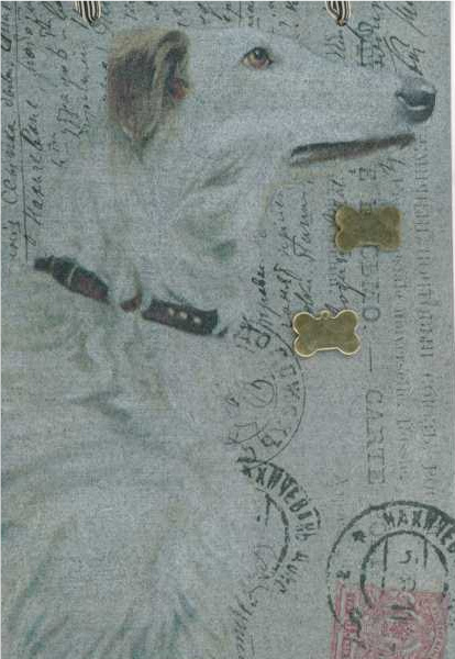 Borzoi (tan & white)